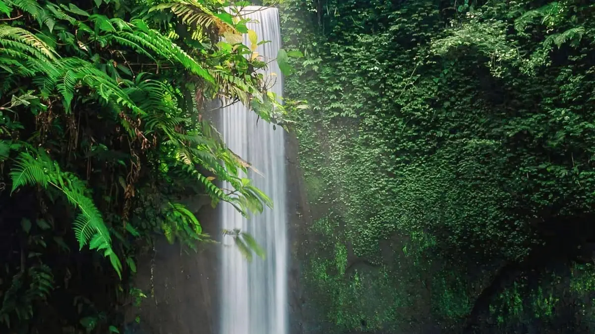 Couple walking through turquoise pool at Tibumana Waterfall in Ubud Bali surrounded by dense lush jungle on a private waterfall tour