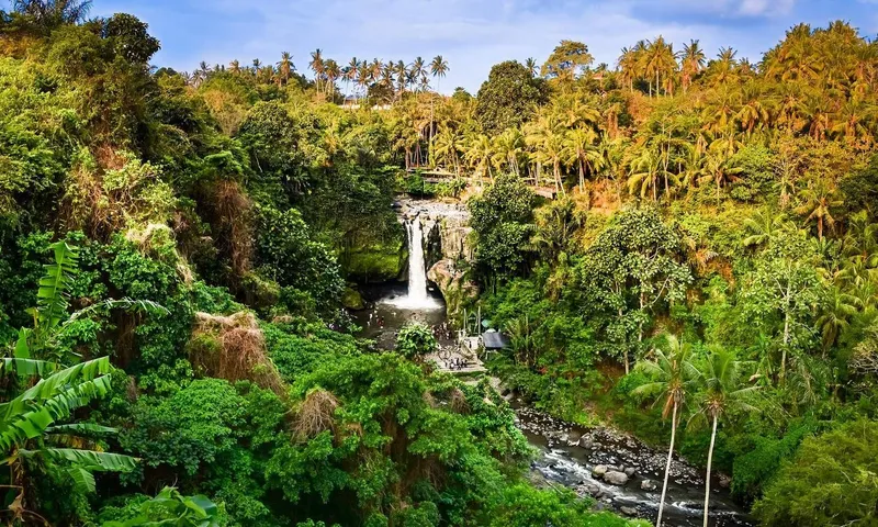 Small group of tourists walking the trails between Tegalalang rice terraces in Ubud Bali on a rice terraces temples and waterfalls full-day tour